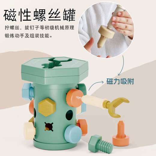 YWZR儿童拧螺丝玩具修理工具箱拆卸装钉螺母组合宝宝蒙氏教育1岁 【绿色】磁性螺丝罐