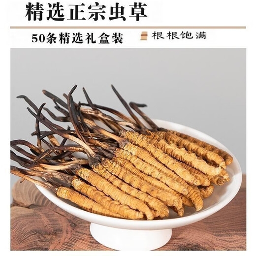 
Authentic Cordyceps sinensis first period selected nourishing dry goods two gram one gram gift box gift nutritious Cordyceps tonic products two gram one gram 50 gram authentic Cordyceps sinensis