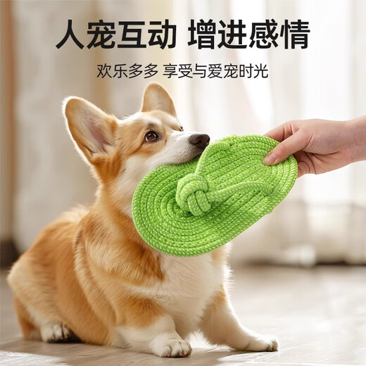 Qi Oh dog tug-of-war toy, knotted dog chewing rope toy, oversized slippers, carrot puppy resistant to chewing and grinding teeth, pet toy, small rope knotted slippers