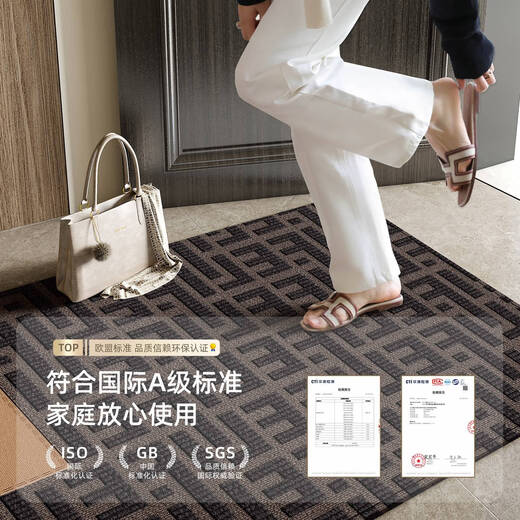 OUOETY卫辞地垫门口入户门进门脚踏定制2025新款轻奢高级感入门地毯耐脏 朝暮-14109 80cm*100cm七天无理由退换
