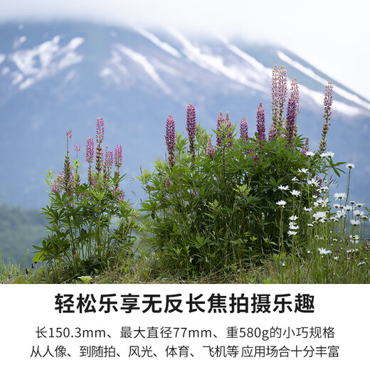 Tamron A047 70-300mm F/4.5-6.3 Telephoto Telephoto Zoom Sports Animal 70-300 Full Frame E-mount Micro Single Lens 70300 Nikon Z Mount Official Standard Comes with Tamron UV Filter + Photography Shoulder Bag + Cleaning Set