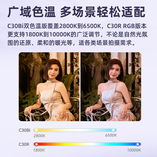 Godox C30Bi fill light, lightweight, portable lighting, ambient light, live broadcast, food photography, short video, outdoor LED mini light