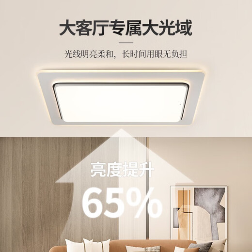 雷士（NVC）雷士照明实体店新款皓月WCX11969客厅卧室餐厅吸顶灯现代简约 皓月圆形-34W