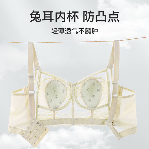 Les gros seins de chat montrent de petits seins pour les femmes, des sous-vêtements pour les femmes, un style mince d'été, un rassemblement, des seins latéraux, une affaissement, un beau soutien-gorge d'oreille de lapin, ultra mince