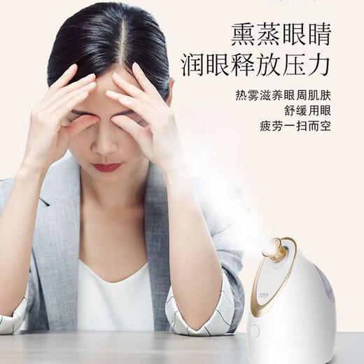 Vaporizador facial de arroz dorado nano spray térmico fumigación de ojos y nariz hogar pequeño vapor facial pulverizador hidratante instrumento de belleza para abrir poros máquina de vapor máscara humidificador asociado KD2300 instrumento de fumigación versión optimizada