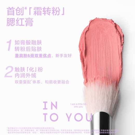 INTO YOU Creamy Mist Blush Cream Naturally Brightens, Contours, Makes Up, Moisturizes and Moisturizes Birthday Gift for Girlfriend CP01