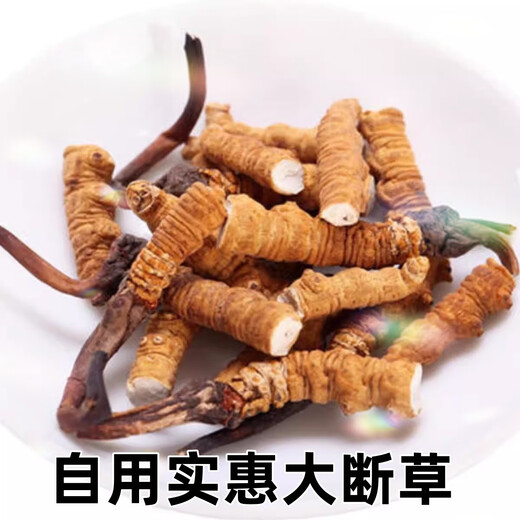 Xina Tibet Que High-altitude Cordyceps Cordyceps Broken Grass Large bottles High-altitude Self-use authentic home outfits Tibet Naqu Broken Grass 10 grams pack 1 gram hair 11 grams