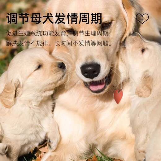 OIMG Fertility Bao for Dogs, Special Nutrient Premix for Female Dogs to Promote Estrus and Ovulation, Female Dog Fertility Bao, 5 barrels of mix (free mix, please note when placing an order)