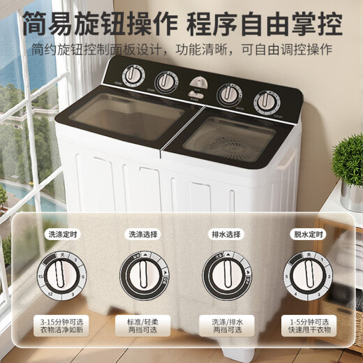 日普（RIPU）双桶双缸洗衣机半自动家用 大容量宿舍租房家用小型波轮洗脱分离 16公斤双缸 | 强力去污【洗10+脱6】