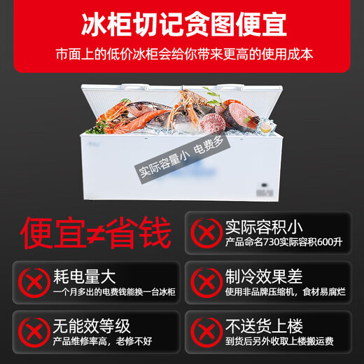 Xingxing (XINGX) freezer commercial large capacity commercial first-class energy-efficient refrigerator horizontal refrigeration conversion fresh ice cream cabinet supermarket restaurant freezer [718 liters] BD/BC-728GE