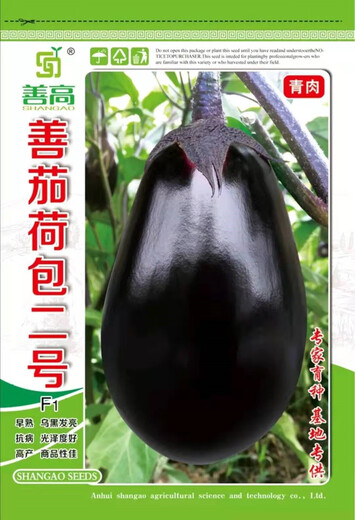 Shanqie Purse No. 2 hybrid eggplant seeds, extremely early maturing, purple-black, round, large, green-fleshed, disease-resistant, high-yielding, field use, original 200 capsules