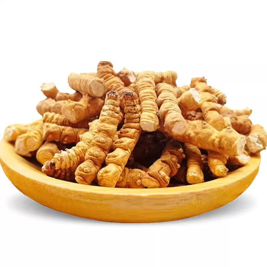 Cordyceps sinensis broken grass authentic cordyceps high altitude broken grass in Tibetan areas, fresh dried cordyceps large broken grass [authentic Tibetan areas high altitude] 11 grams of broken grass