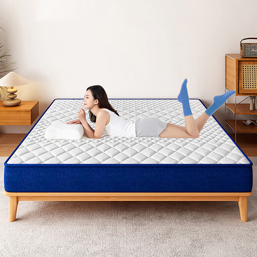 Haima Jane Air Mattress Memory Foam Box Top Ten Simmons Compressed Roll Pack Latex Independent Spring Mattress Household Soft Brand A Moderate Style (Thickness 20cm) Affordable Choice 1350*1900