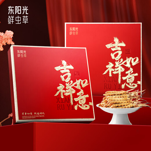 Dongyangguang Cordyceps sinensis 3-4 Wurzeln/G Neu getrockneter Cordyceps nahrhafte Geschenkbox Cordyceps Ergänzungsgeschenke an Eltern und Älteste etwa 6 Gramm [hohe Kostenleistung]