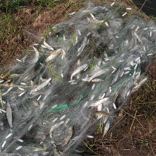 Kwai Yao single-layer floating net hanging net three-layer sunken net fishing net wire net hanging sub-fish net fishing crucian carp silver carp white strips single-layer floating net 1 finger 8 meters 0.7 meters high