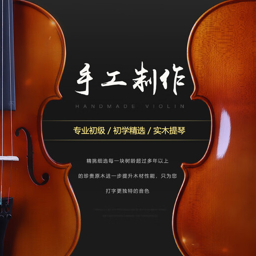 SWAN琴友实木小提琴成人儿童规格都有 音质好有视频 初学练习普及定制 4/4