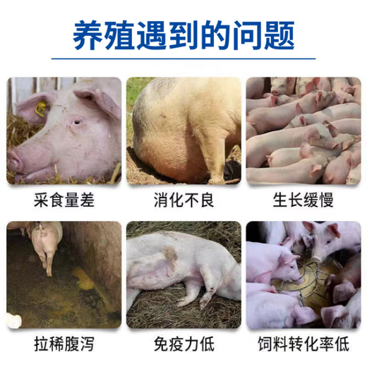 Pig Erjian fattening, fattening, weight gain and fattening agent for pigs to grow and eat Zhuerjian trace element feed additive for veterinary use 25 bags (one piece) It is more cost-effective to send direct hair from the manufacturer