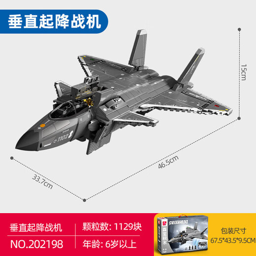 Yuan Clan aircraft carrier building blocks Shandong destroyer helicopter fighter military model assembly boy J-10B-fighter [757 particles]