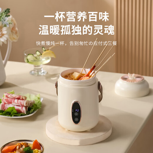 Aishal souvenir doctor's day gift health pot electric stew cup gift box to give teachers and staff prizes birthday school banquet gifts high-end business gift custom souvenir purple company anniversary event to give customers employee prizes retirement souvenirs
