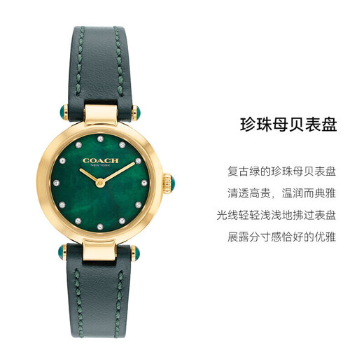 COACH CARY Series Belt Quartz Women's Watch 14503951 Recommended by Luo Yizhou New Year Gift/Gift Giving