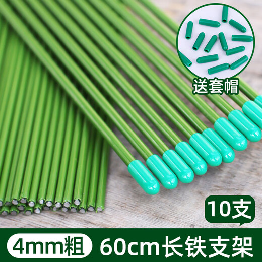 爬藤固定捆绑杆金钱树支撑杆室内瓜果花卉植物园艺花架花盆支架杆 10支4mm绿色60cm长 送10套帽