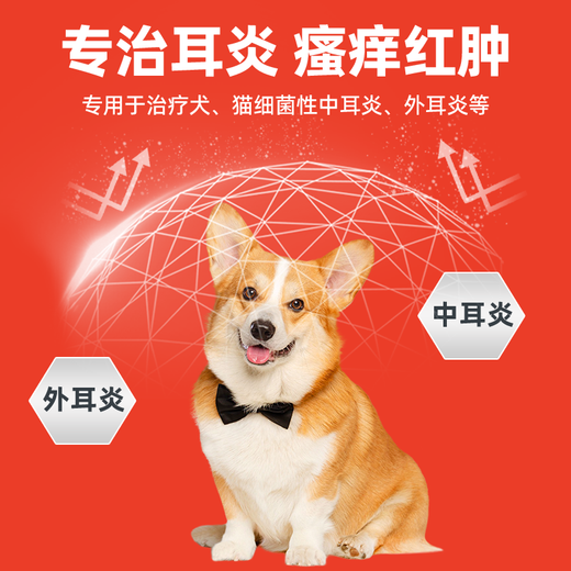 Dog Ear Mite Ear Drops Pet Ears Remove Mites Bacterial Fungal Infection Otitis Media Ear Cleansing Ear Cleansing Ear Soothing Antipruritic Sterilization Special Teddy Puppy Florfenicol Metronidazole Ear Drops 20ml/Bottle Universal for Cats and Dogs Veterinary Drug Level National Standard GMP Certification