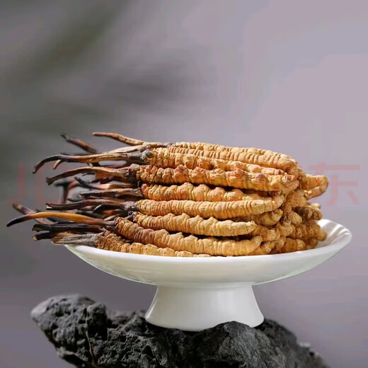 Hochwertige Cordyceps sinensis echte Erste Trockenwaren Cordyceps 3 Wurzeln/g 2 Wurzeln/g Mehrere Spezifikationen High-End-Geschenkboxen Nagqu Cordyceps 3 Wurzeln pro Gramm 100 Teile für denselben Stil 3 Wurzeln 3 Wurzeln