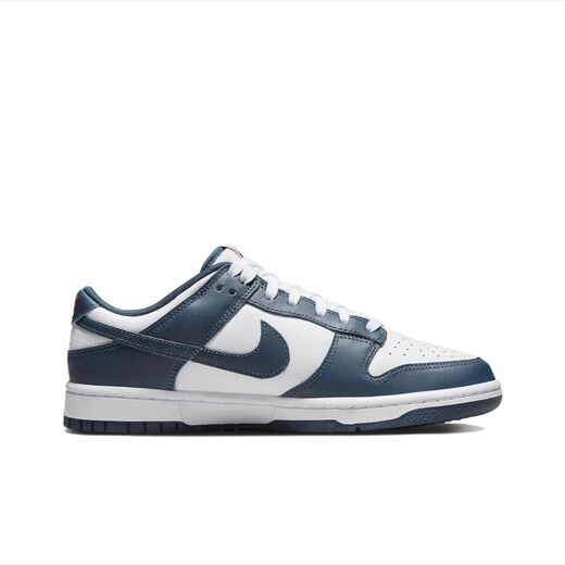 NIKE耐克Dunk LOW白蓝男款舒适时尚透气轻便防滑耐磨低帮休闲板鞋 DD1391-400白蓝 45 (290mm)