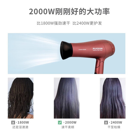 飞科电吹风机家用大功率负离子护发可折叠大风速干静音学生便携吹风筒 FH6218-2000W大功率 负离子