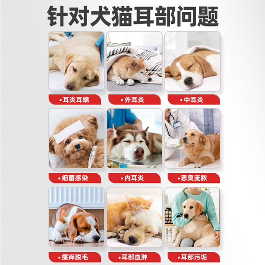 Dog Ear Mite Ear Drops Pet Ears Remove Mites Bacterial Fungal Infection Otitis Media Ear Cleansing Ear Cleansing Ear Soothing Antipruritic Sterilization Special Teddy Puppy Florfenicol Metronidazole Ear Drops 20ml/Bottle Universal for Cats and Dogs Veterinary Drug Level National Standard GMP Certification