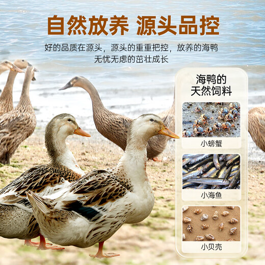 玖嘉久爆浆海鸭蛋鲜虾丸145g火锅食材关东煮麻辣烫手工丸子部队火锅丸料 爆浆海鸭蛋虾丸*5包【725g】