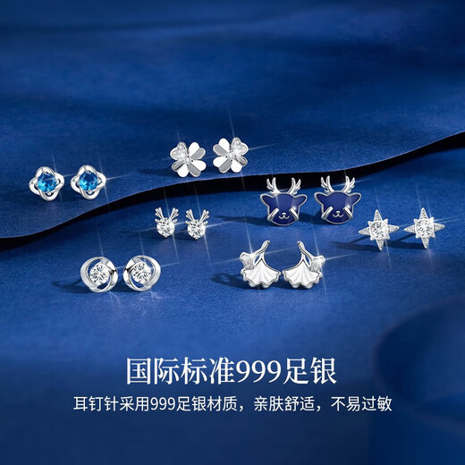 Baileys Weekly Earrings and Earrings Set 925 Silver Needle Christmas Birthday Gift Earrings Drop for Girlfriend and Wife Missing Earrings Fast Arrival