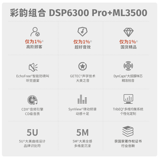 Melody digital pre-amp effector, professional karaoke audio amplifier, karaoke home ktv reverberator, audio processor anti-howling feedback suppressor, wireless microphone set DSP6300 Pro+ML3208 microphone (set)