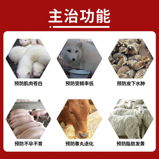 LISM Veterinary Vitamin E Powder Tocopherol VE Fox, Mink, Chicken, Duck, Rabbit, Cow, Sheep, Pig and Dog Oestrus Powder Breeding Feed Additive 1Jin Jin is equal to 0.5kg in one bag