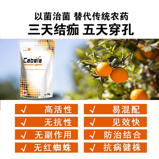 True canker, unique citrus peach tree, fruit tree and vegetable canker, soft rot bacterial perforation, 1 billion live bacteria microbial agent, citrus canker special 1000g*10 bags