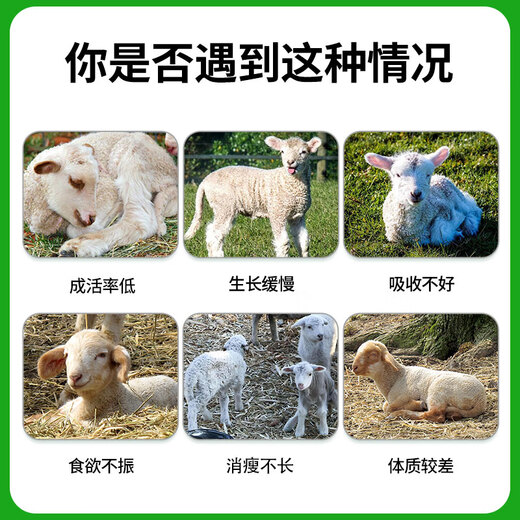 Yingmeier Yingmeier lamb premix pulled lamb precise opening material skeleton special fattening weight gain lamb premix 20kg*3 bags 95 per bag