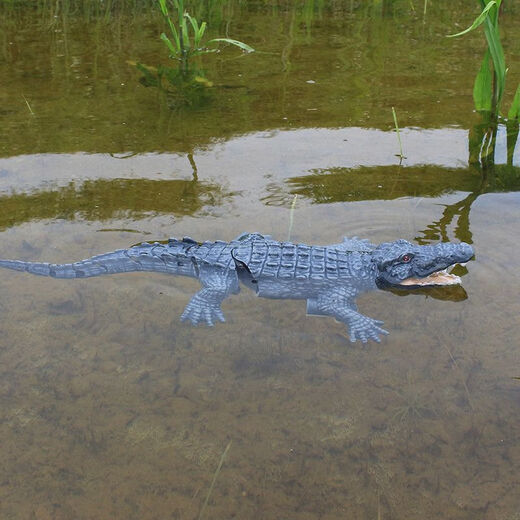 Bionic remote control crocodile water reptile electric boat charging speed boat summer outdoor children's toy black technology remote control manta ray standard +2 batteries