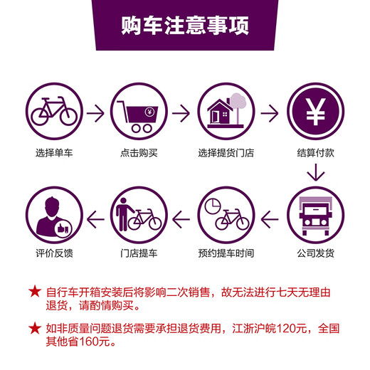 Liv丽以芙Avail AR 4-GC碳纤维前叉碟刹16速舒适女士弯把公路自行车 紫灰色 700C×410MM XS 建议152-163cm