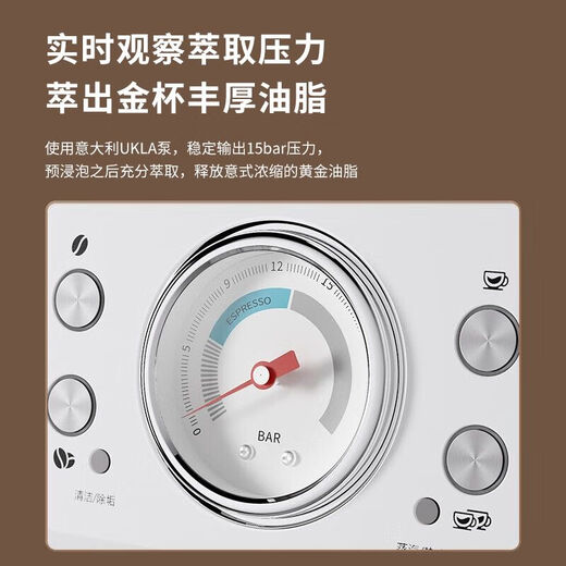 柏翠PE3899锅炉意式半自动咖啡机家用奶泡机研磨一体机小型 柏翠3899+轰炸机豪华大礼包