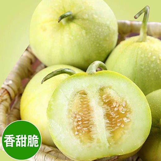 Xiangbin Japanese Sweet Treasure Melon Seeds Extra Large Authentic Spring Season Fruit Seeds Super Sweet Watermelon Muskmelon Seeds Japanese Sweet Treasure Seeds 100 original x2 packs