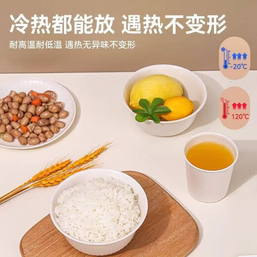 Disposable rice husk tableware set, biodegradable bowls, chopsticks, cups, saucers and spoons, thickened, no-wash, party picnic, 8-piece rice husk tableware set, gift pack for 20 people