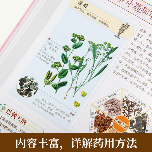 【正版】中医推拿按摩书 全2册 图解经络穴位+对症按摩大百科彩图版 零基础学会推拿按摩书籍手法 图解：千金方