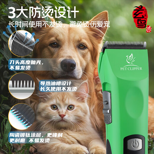 Xuanniao pet electric clipper dog hair shaving device professional large electric clipper high power Bichon Teddy grooming cat bass Vibrant Orange complete machine + 13mm blade