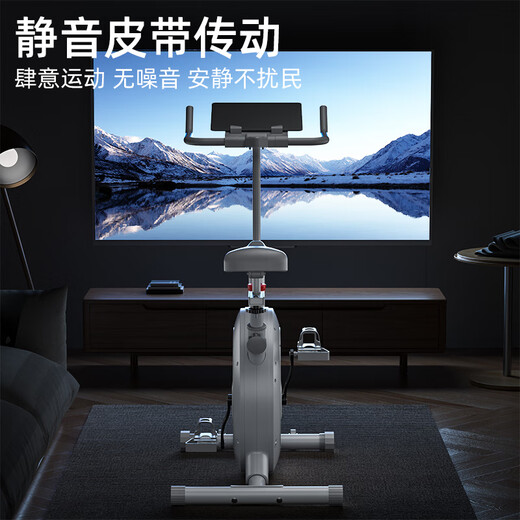 Yingerjian spinning bicycle magnetically controlled home silent small bicycle indoor weight loss exercise sports fitness equipment physical resistance adjustment 2.0 covers an area of 0.49