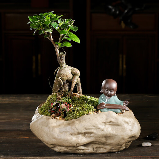 Cidetang flower pot ornaments, small monk Ge Kiln flower pets, desktop Zen mini ceramic ornaments, micro landscape bonsai landscaping equipment, Fuqin (Ge Kiln) Small