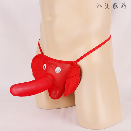 Universal Men's Thong Men's Leopard Print Thong Men's U-convex Comfortable Elephant Trunk Mesh Briefs Elephant Pants Bag Ultra-Thin Leopard Print One Size