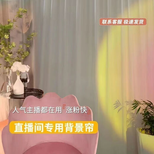 Live broadcast background cloth Internet celebrity live broadcast room background curtain curtain free of punching Velcro gauze curtain partition special for female anchors background gauze Velcro processing width 2.001*height 2.72 meters one piece (suitable for close range