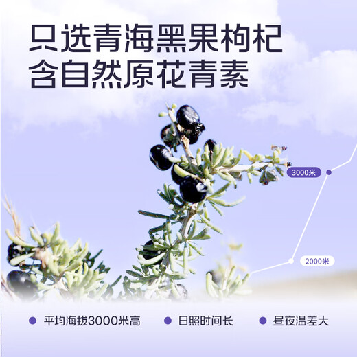 百瑞源出品 果小凡黑枸杞原浆210ml（30ml*7袋）青海黑枸杞子汁原浆100%