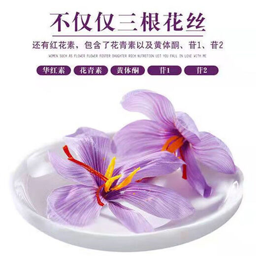 Peking Tongrentang [Extra-Level-Filament Safran] Safranblüte Knospen Iran Safranblüte Vollblume kann in Wasser eingeweicht werden