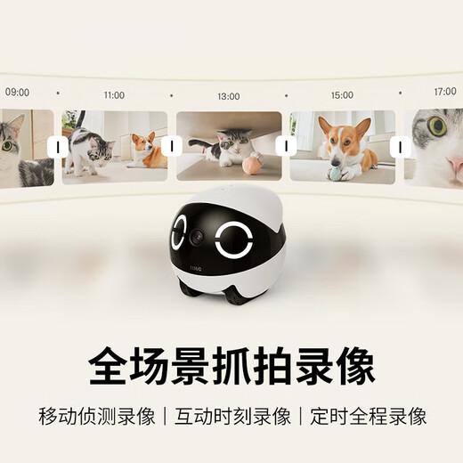 Aktivieren Sie das ganze Haus Mobile Walking Camera EBO Begleiter Roboter Fernbedienung Fernbedienung Wireless Überwachungskamera Rola Mini Pet Begleiter Spielzeug Roboter Rola Mini-128g (kann für 8-12 Tage aufbewahrt werden)